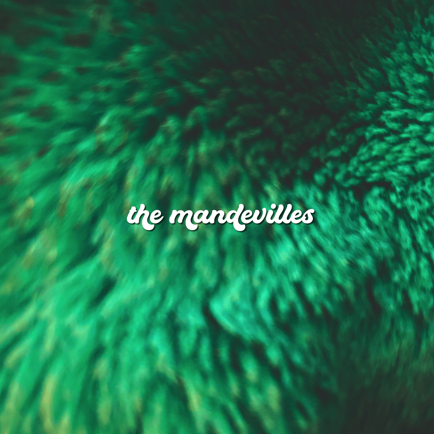 The Mandevilles 1