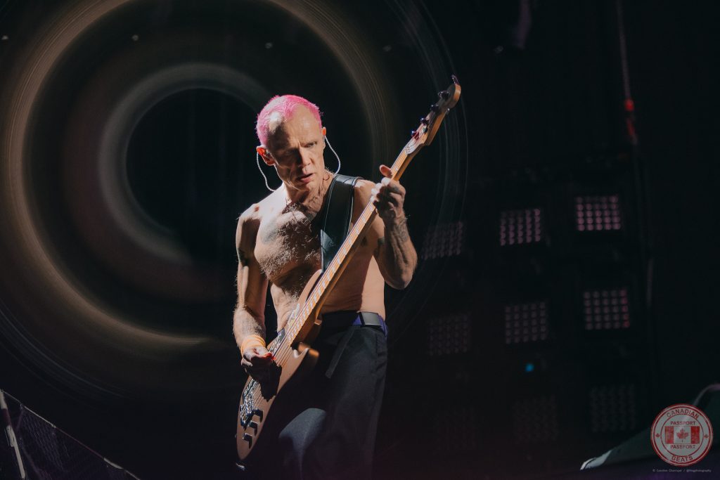 Flea: 15 Things You Didn't Know HD wallpaper | Pxfuel