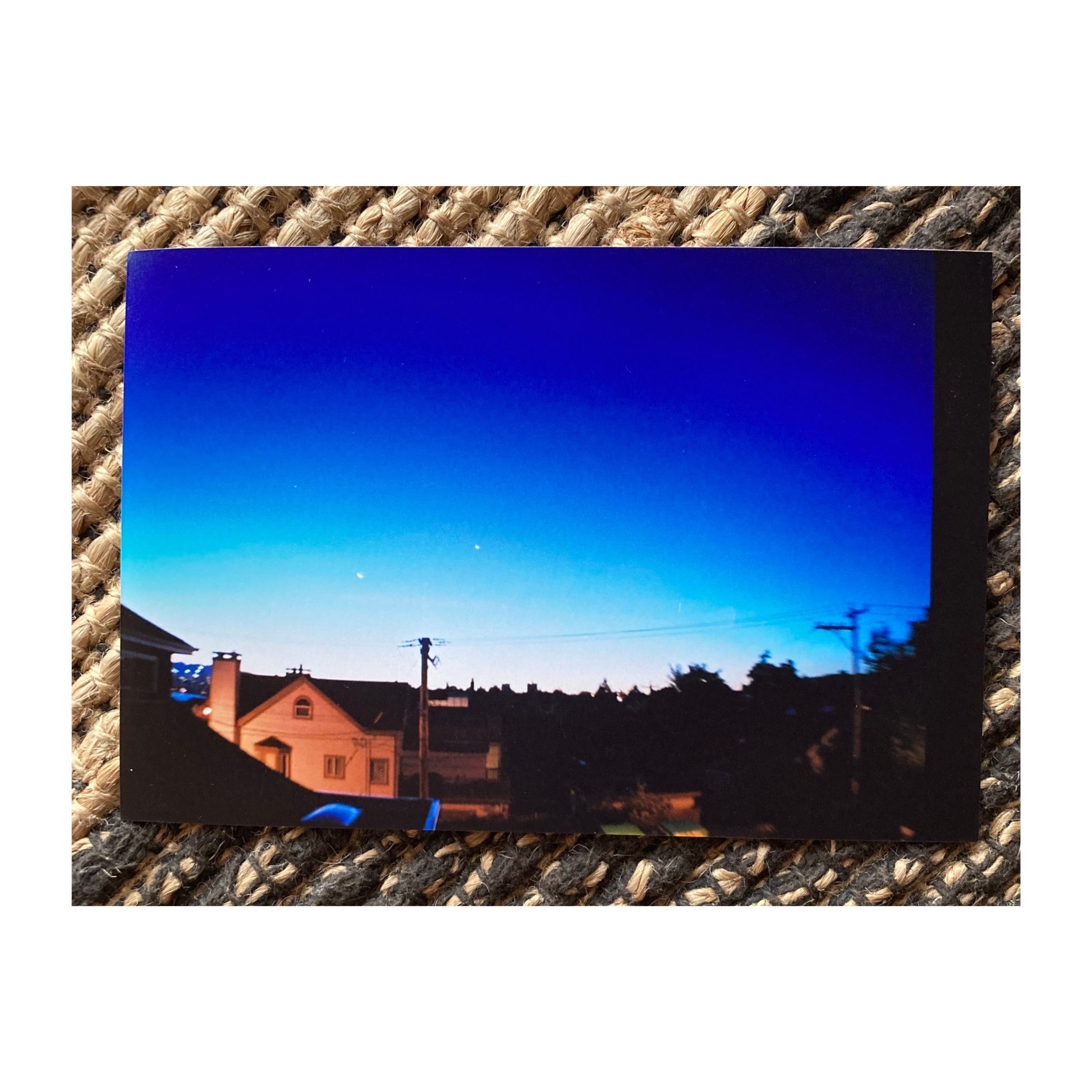 Pranatricks  – “Birds and the Bees” (Single Review)