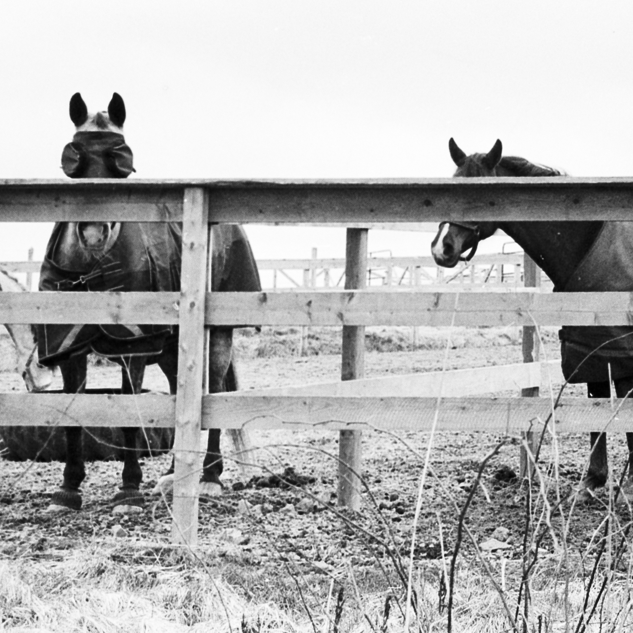 Callum Gaudet – Five Questions With