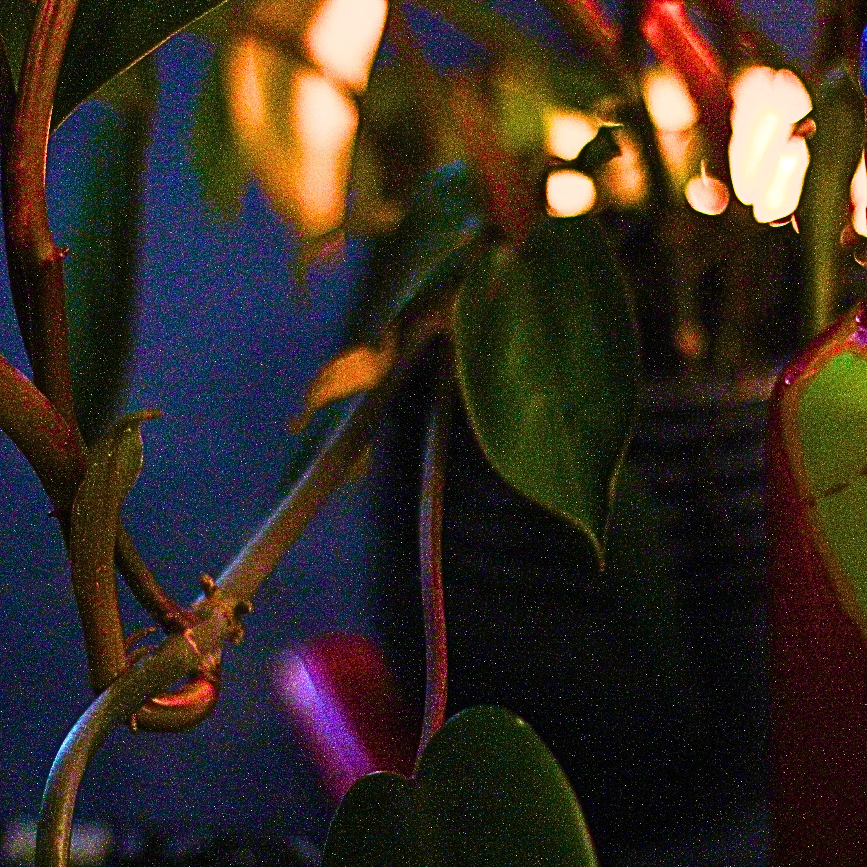 Alex Southey shares new single, “God’s Green Earth”