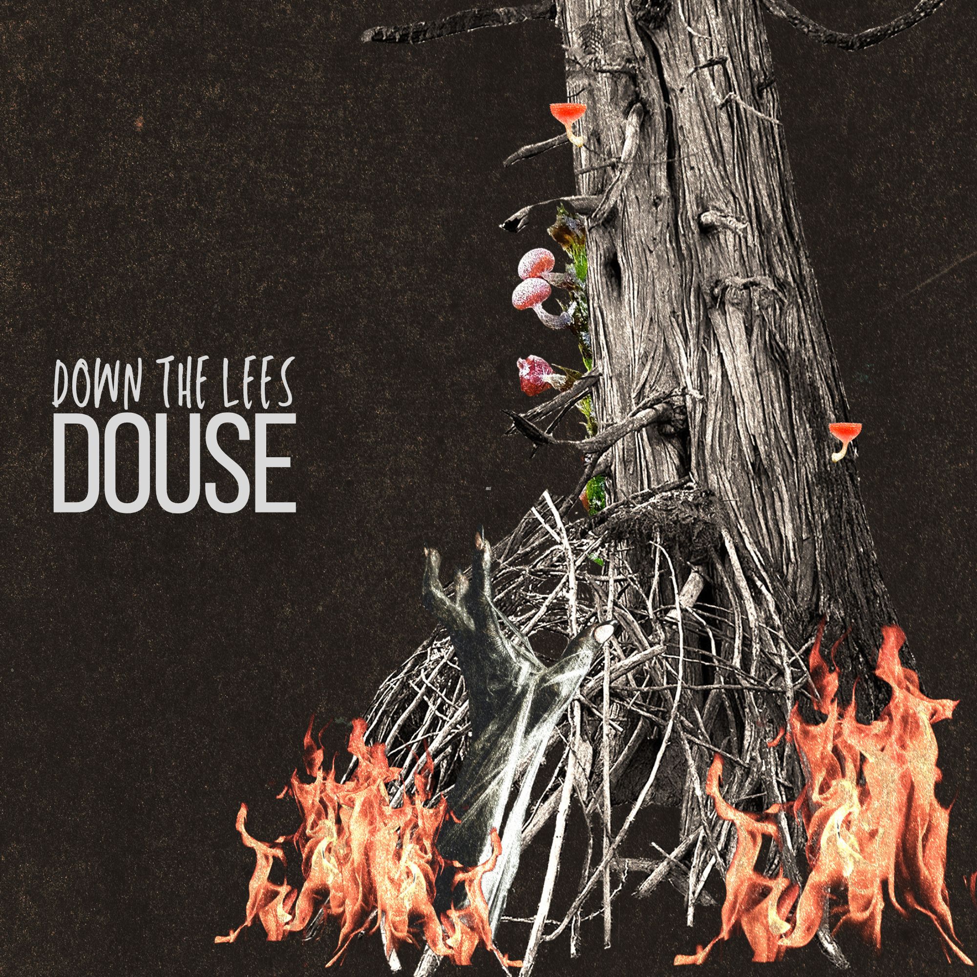 Down The Lees – Five Questions With