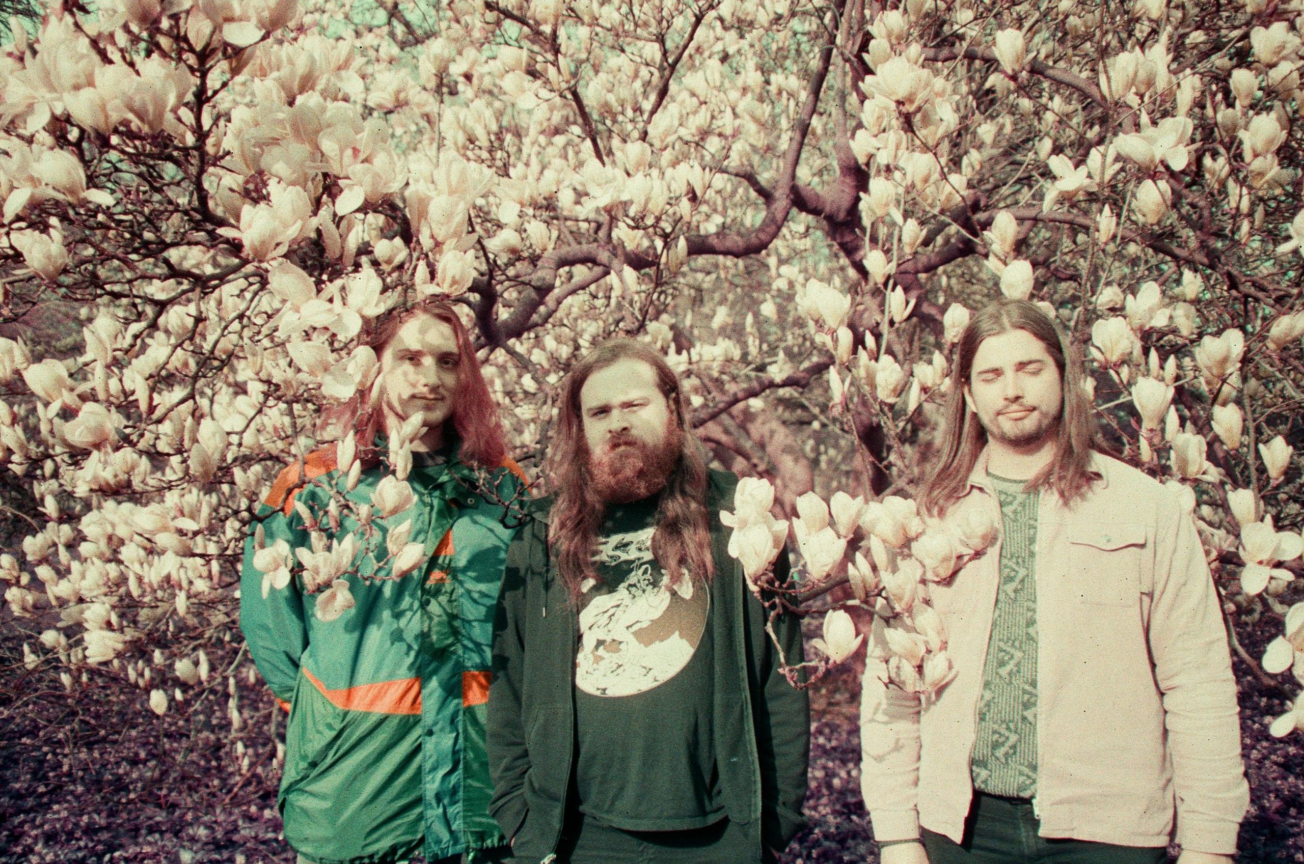 Ivy Gardens – Five Questions With