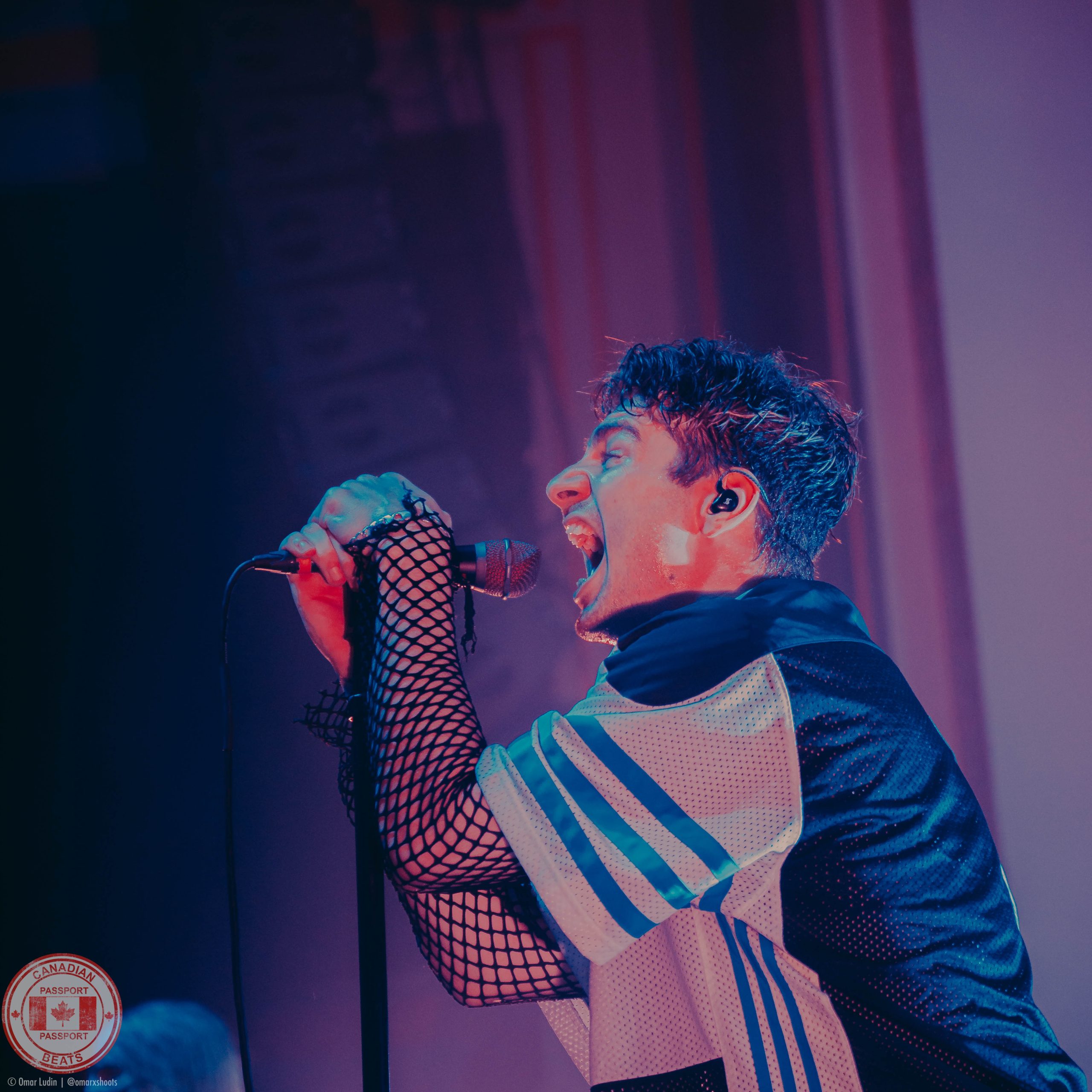 Alpha Wolf in Toronto, ON – IN PHOTOS