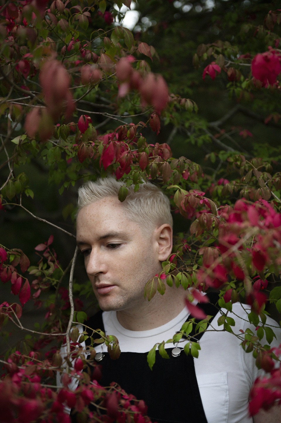 Andrew Spice – Five Questions With