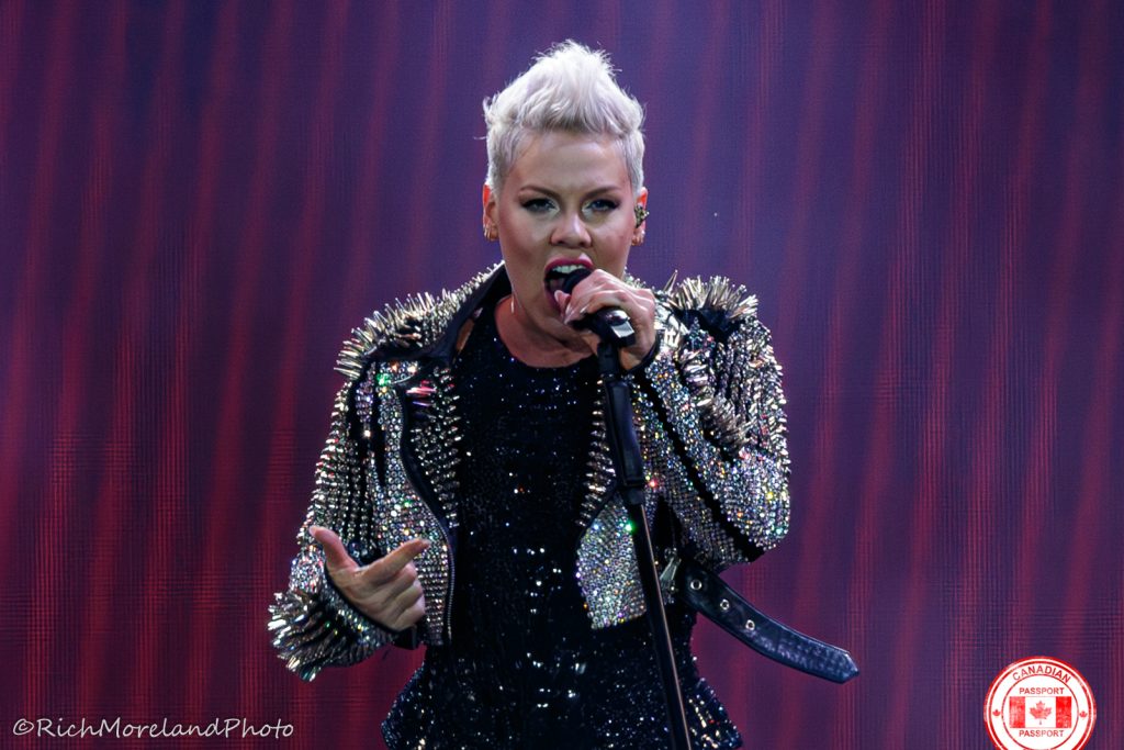 pink tour reviews