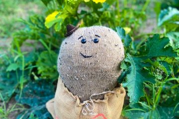 Suburban Bicycle Gang