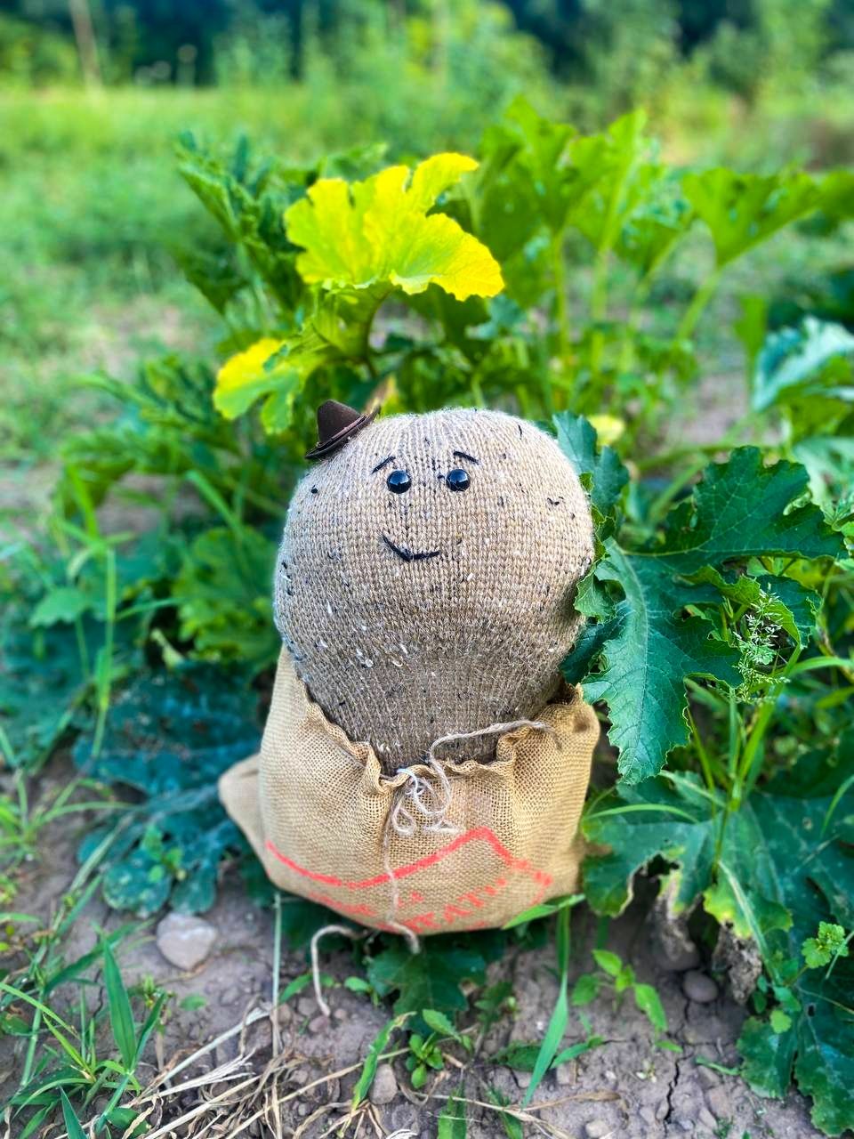 Suburban Bicycle Gang – “Bud The Spud” (Single Review)