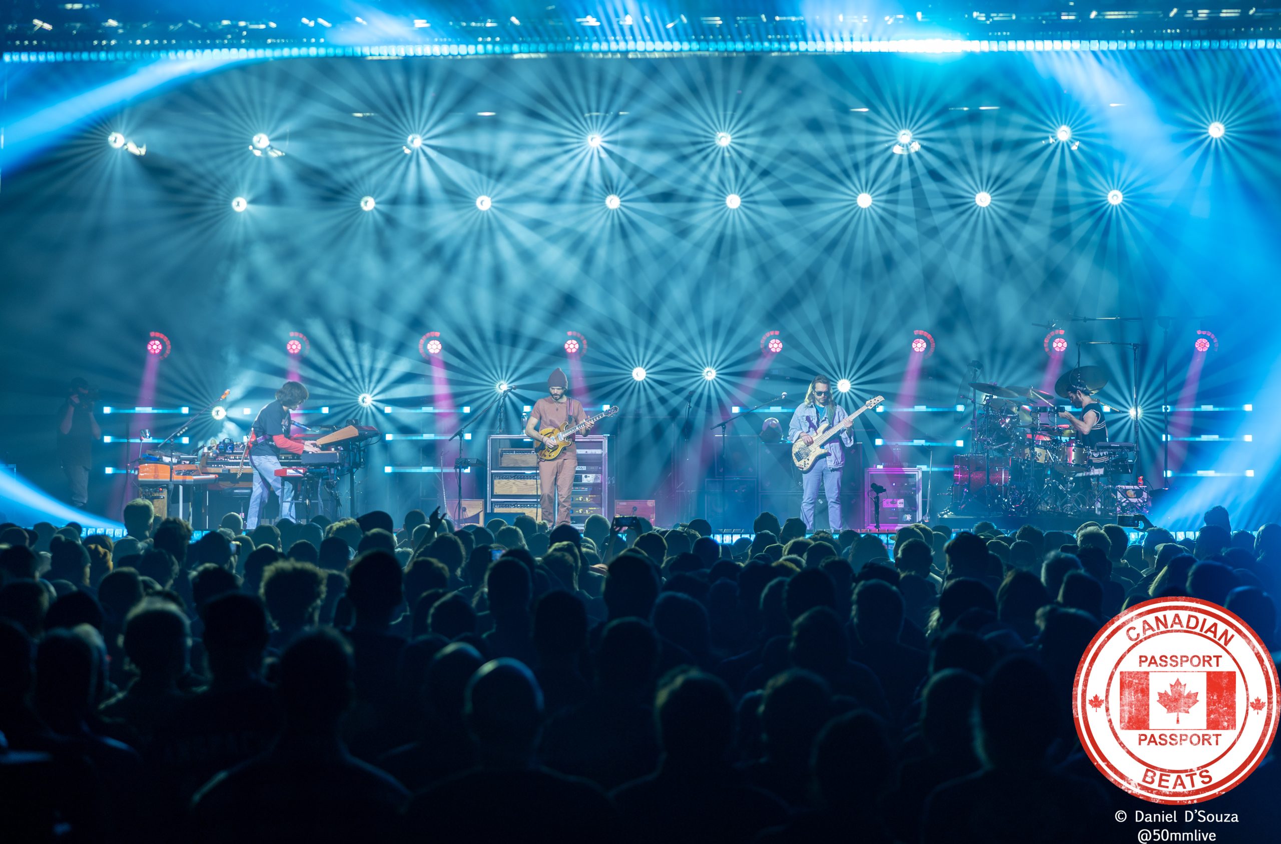 Goose in Toronto, ON – IN PHOTOS