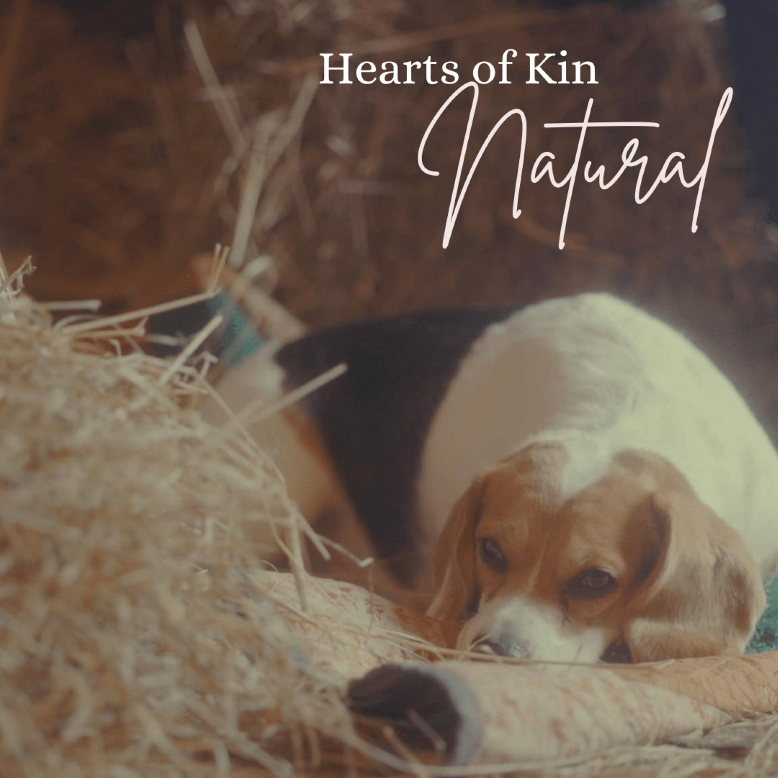 Hearts of Kin – “Natural” (Single Review)
