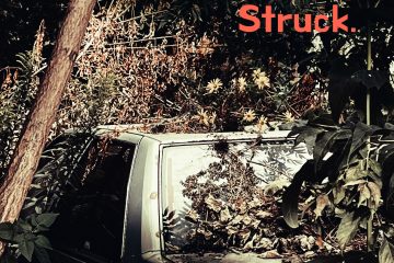 The Lightning Struck