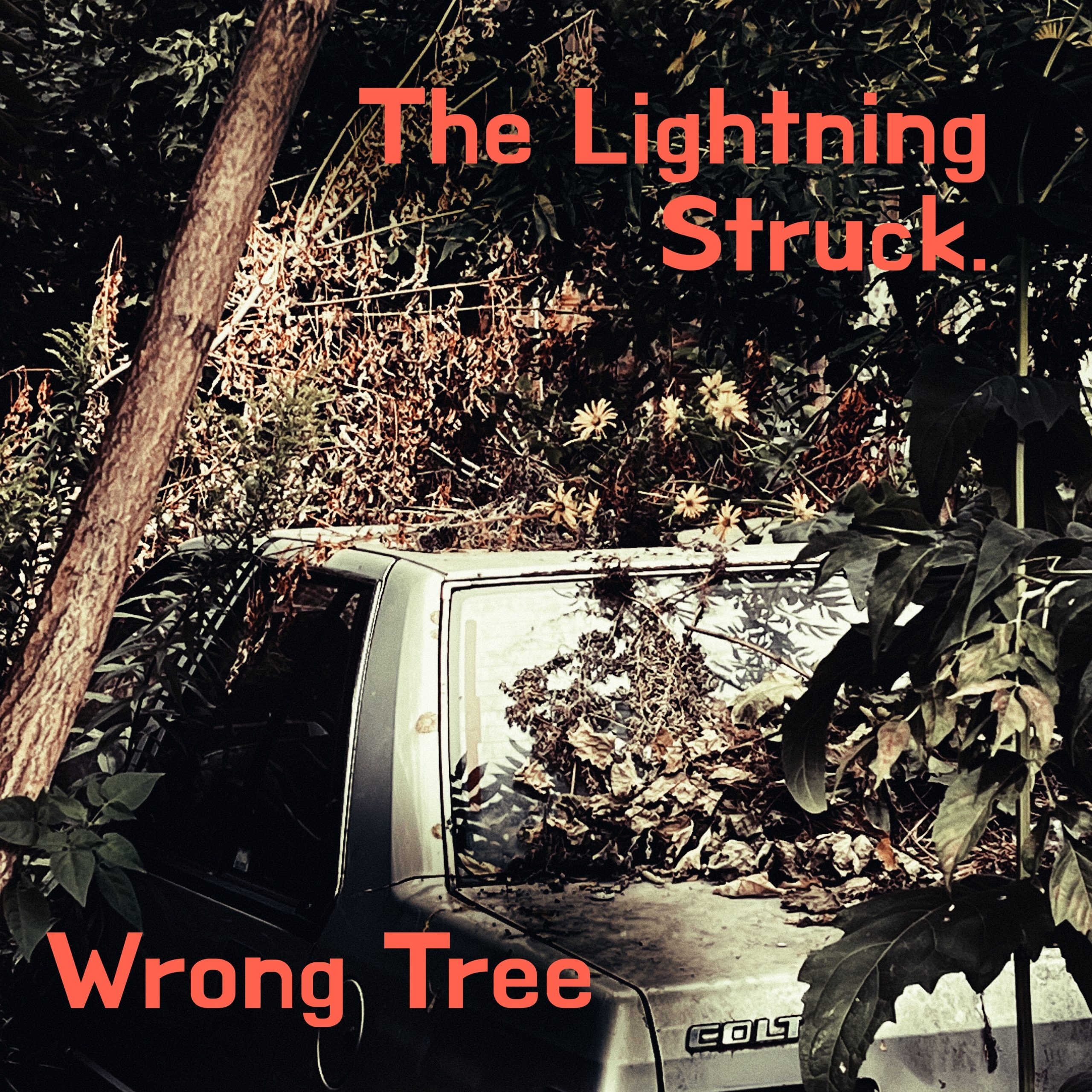 The Lightning Struck shares new single “Wrong Tree”