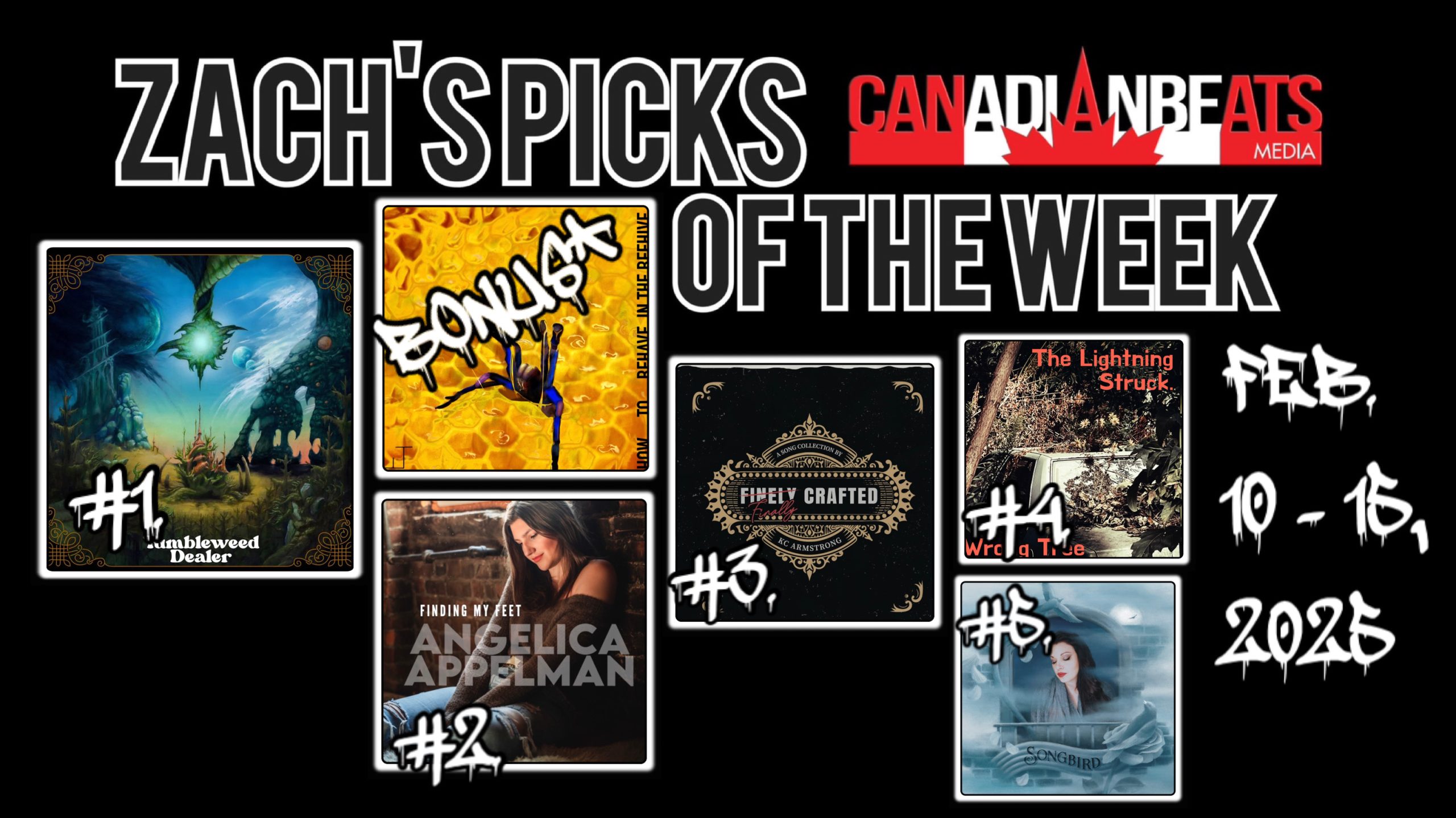 Zach’s Picks of the Week – February 10 – February 15, 2025