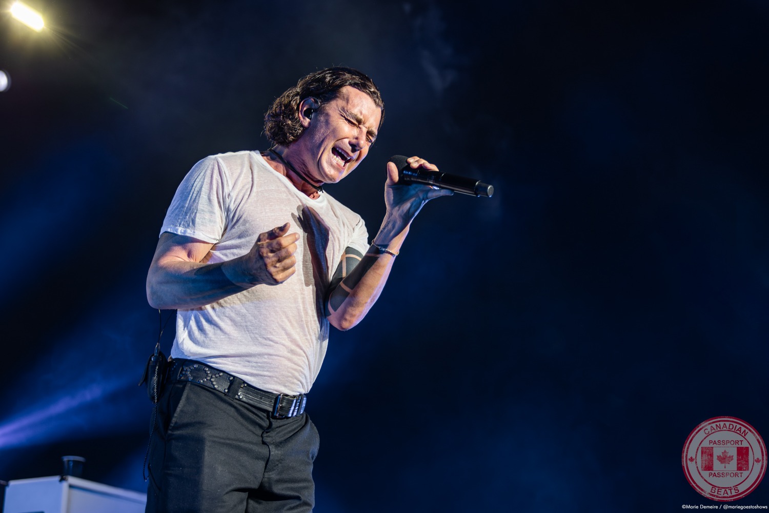 Bush in Laval, QC – IN PHOTOS