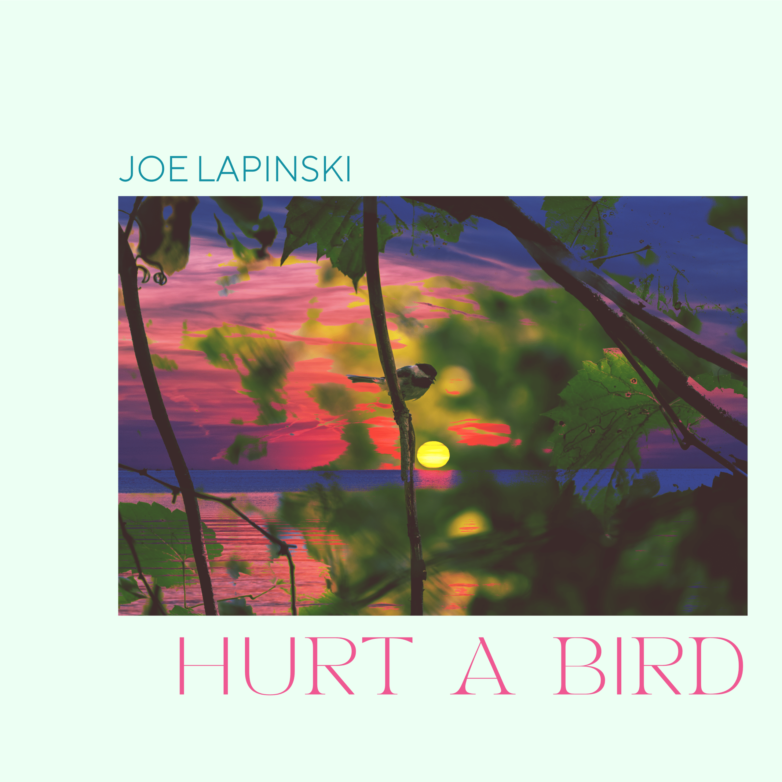 Joe Lapinski shares new single, “Hurt A Bird”