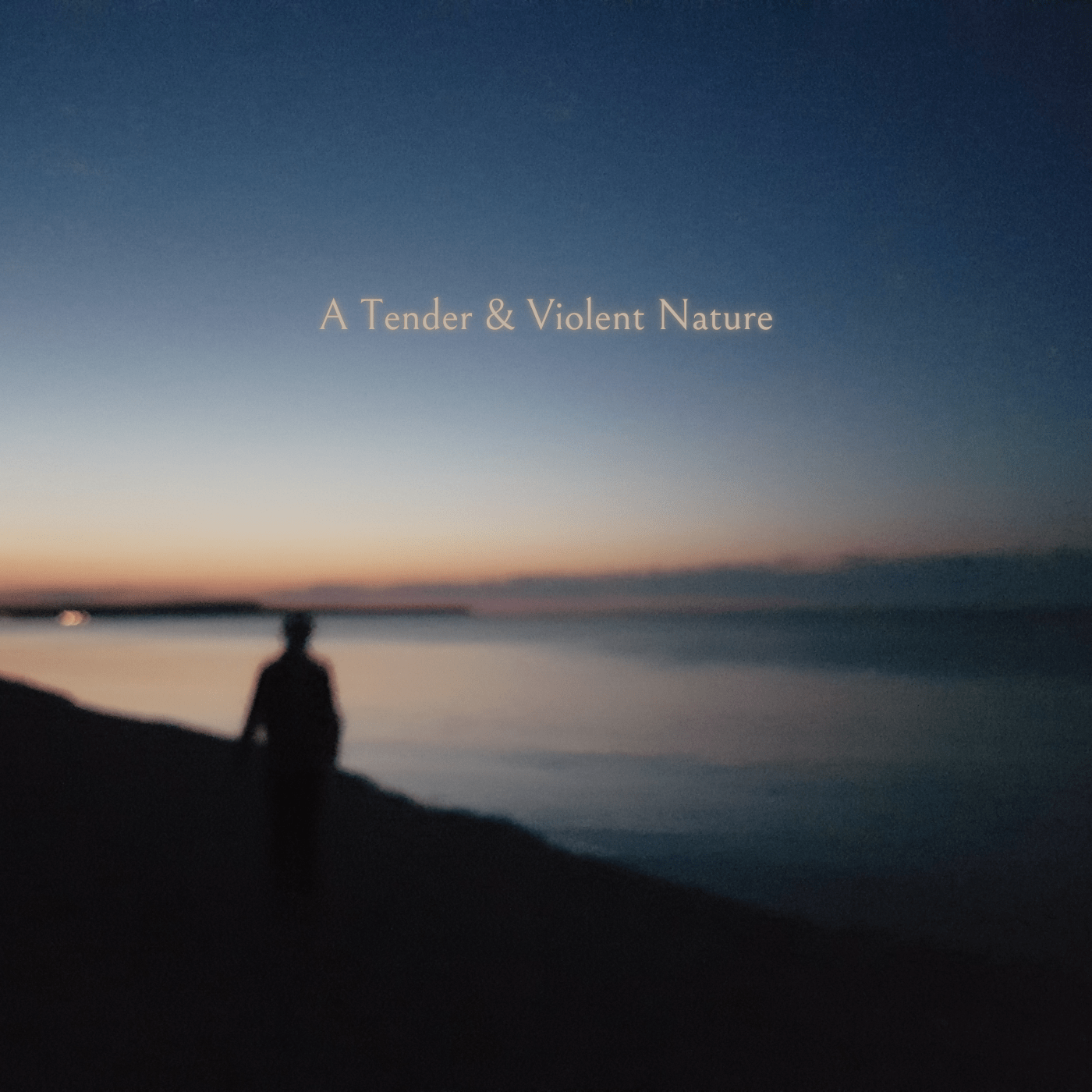 Joshua Joyce shares new album, A Tender & Violent Nature