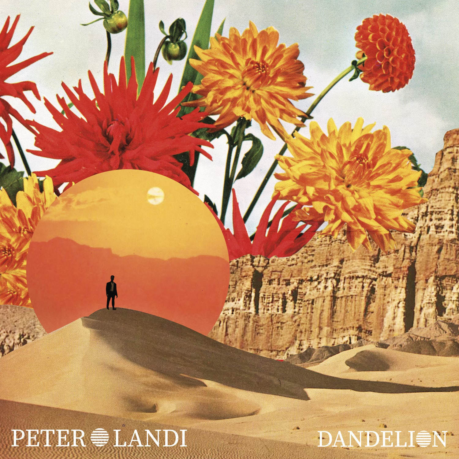 Peter Landi shares new single, “Dandelion”