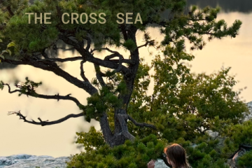 The Cross Sea