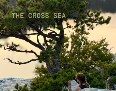 The Cross Sea