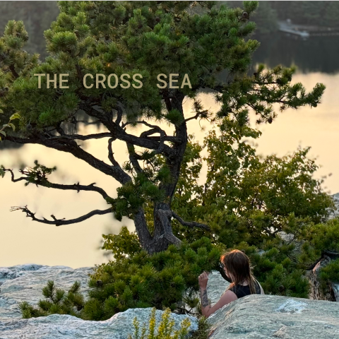 The Cross Sea
