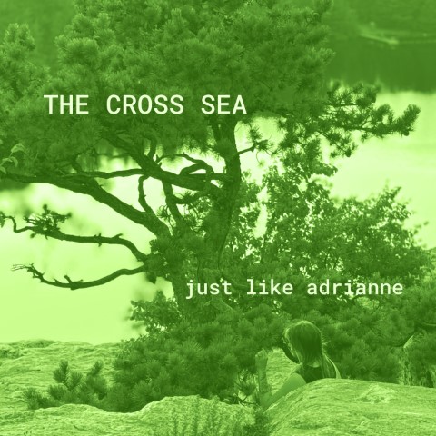 The Cross Sea