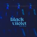 Black Viiolet
