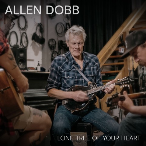 Allen Dobb shares new single, “Lone Tree of Your Heart”