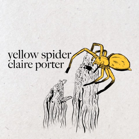 Claire Porter releases “Yellow Spider” – Single Review
