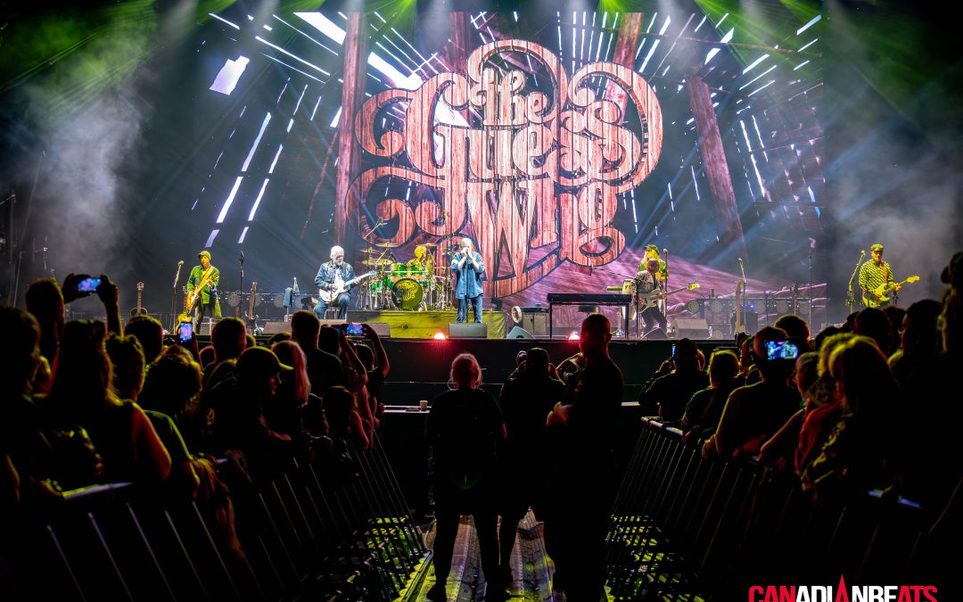 Ottawa Bluesfest 2026 returns with renewed focus on new and unique music discoveries